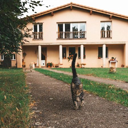 Casa De Campo La Solana Estollo Εξωτερικό φωτογραφία