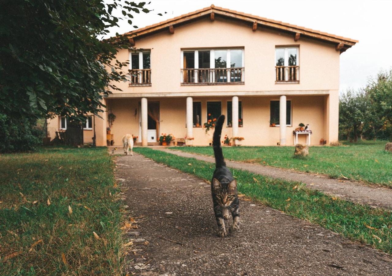Casa De Campo La Solana Estollo Εξωτερικό φωτογραφία